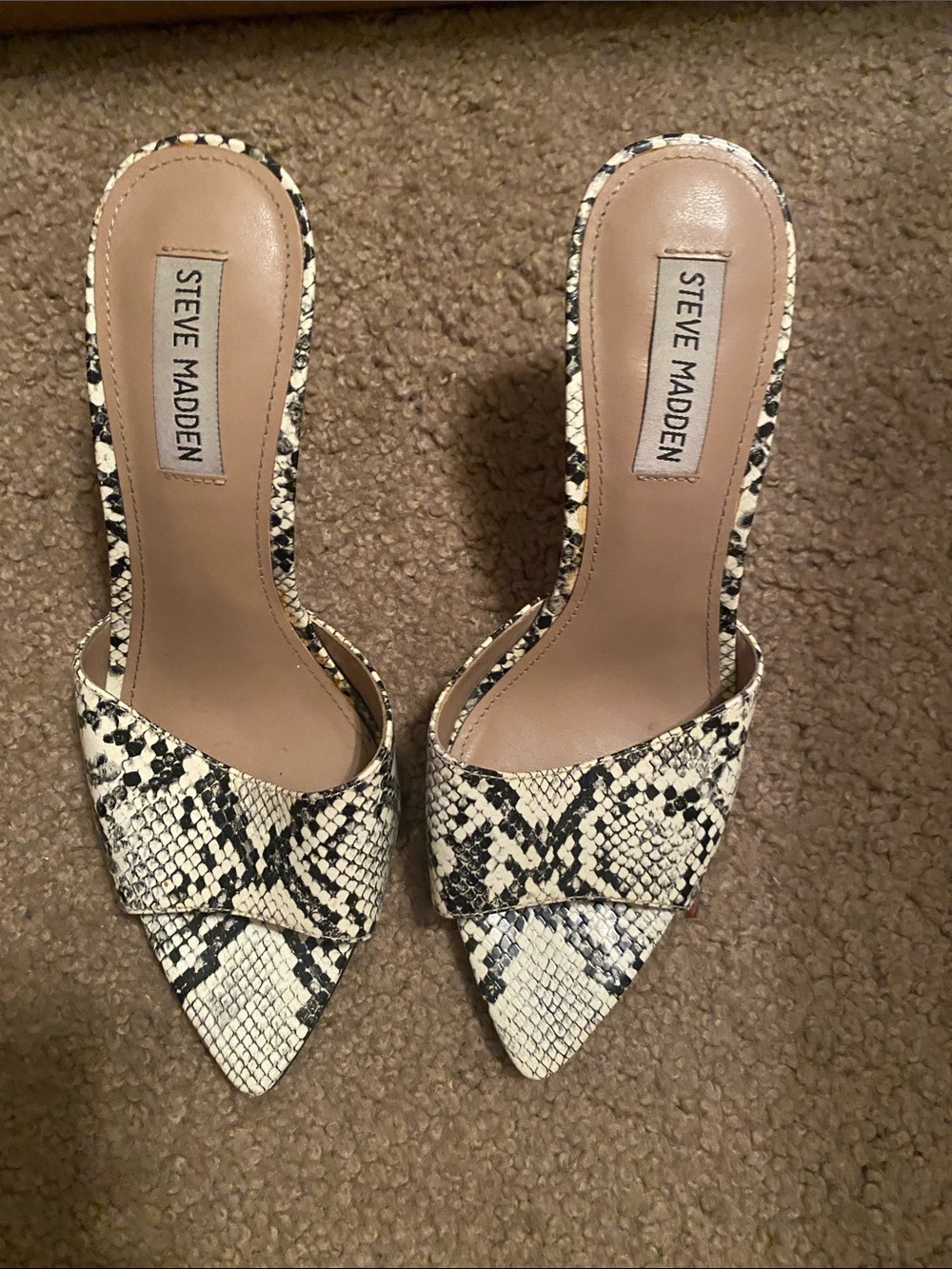 Steve Madden Snake-Print Pointed Mule in Cream and Black